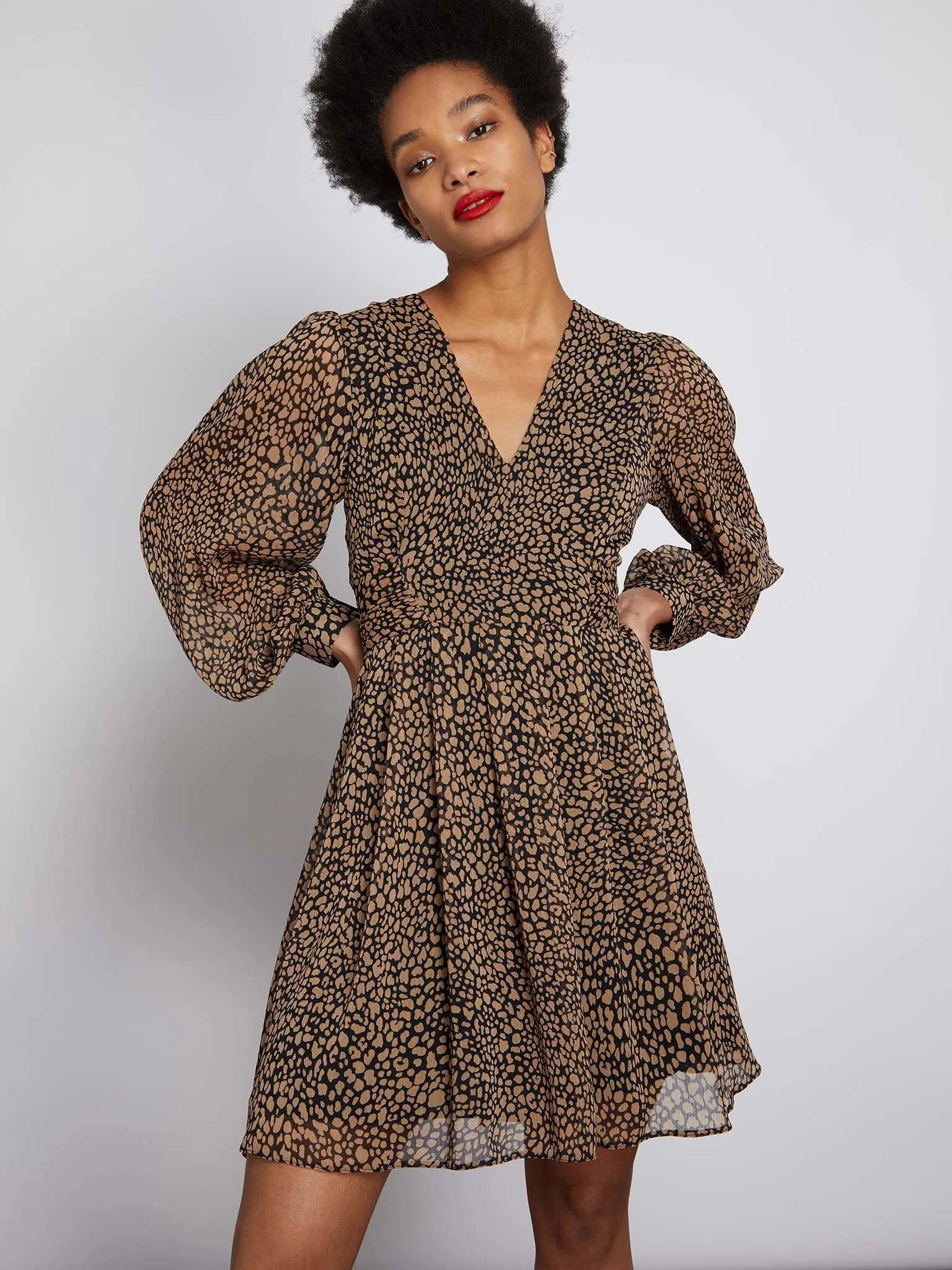 Annie Mini Dress in Animal Print