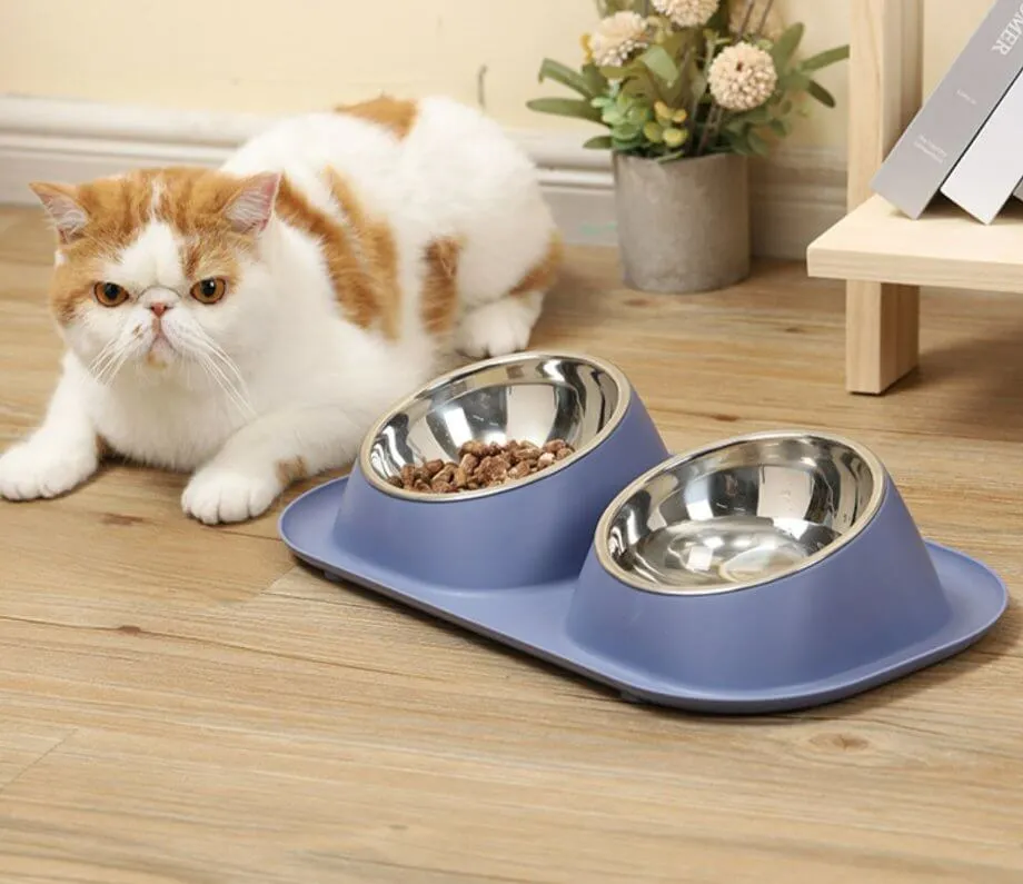 Dog Cat Food and Water Bowl Set With 2 Removable Stainless Steel Feeding Bowls