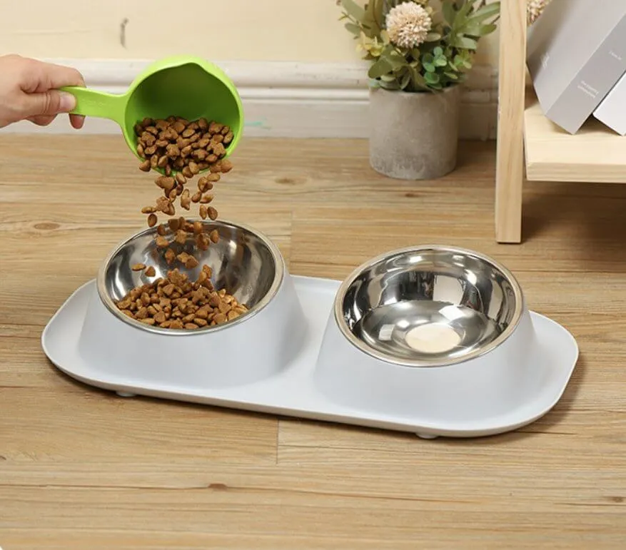 Dog Cat Food and Water Bowl Set With 2 Removable Stainless Steel Feeding Bowls