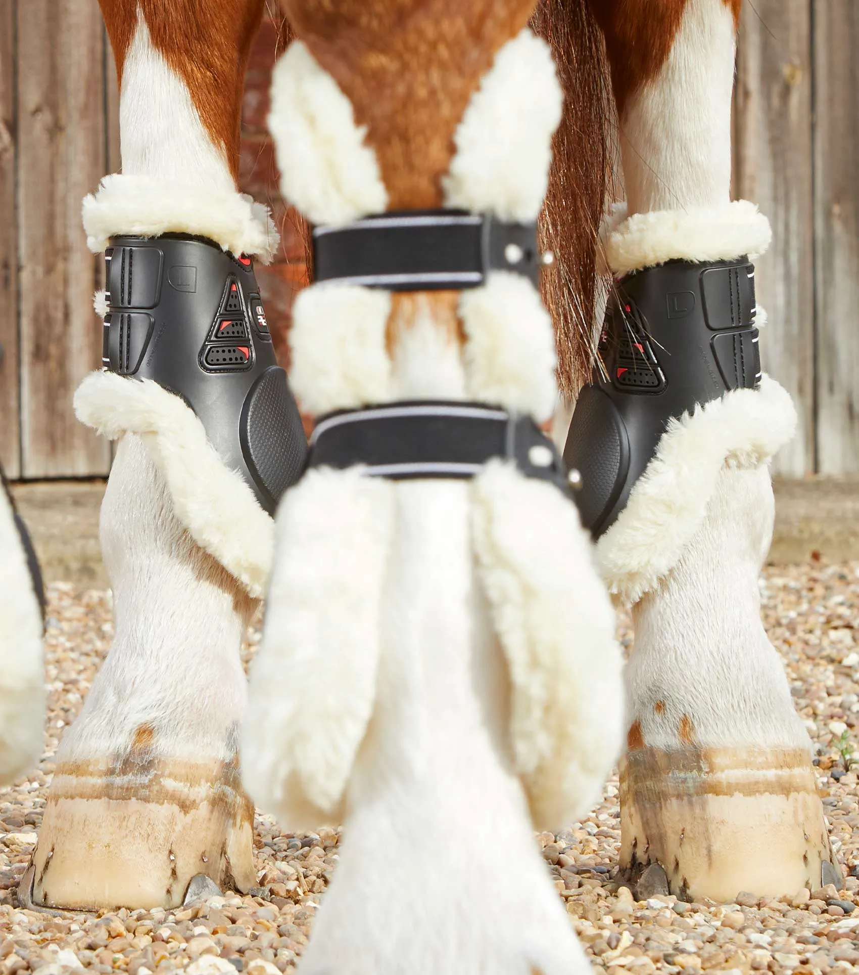 Sale Techno Wool Fetlock Boots Black