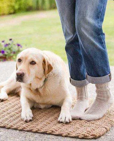 Simple Toe-Up Sock by Churchmouse Yarns and Teas